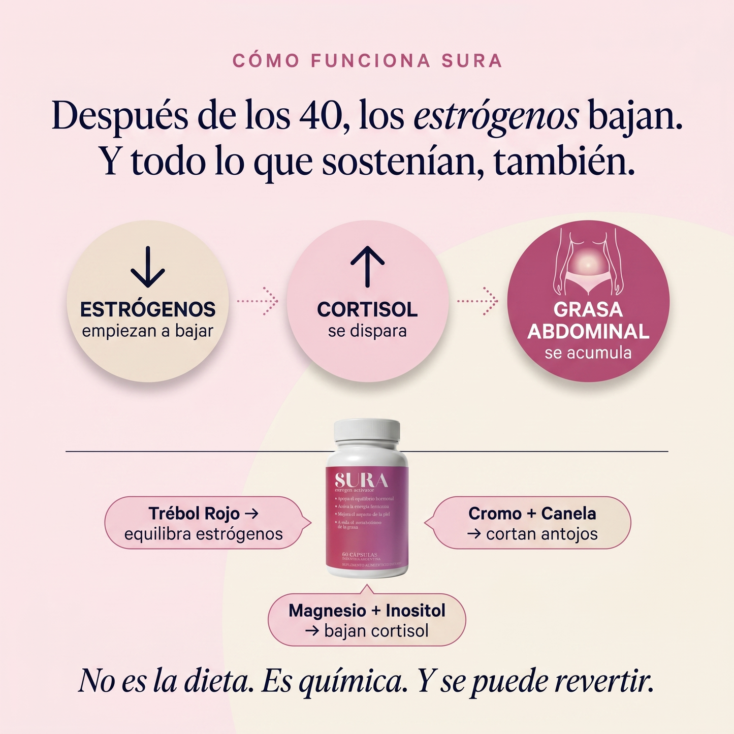 SURA™ — Bajá la panza hormonal y recuperá tu energía en 21 días.